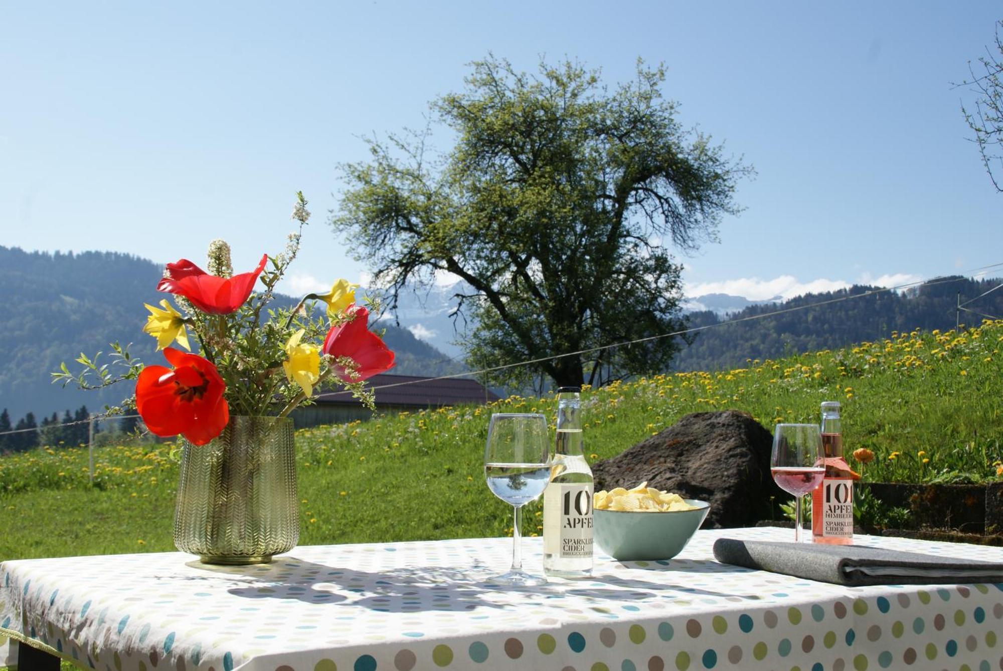 Schweizer Hof Villa Schwarzenberg im Bregenzerwald Kültér fotó