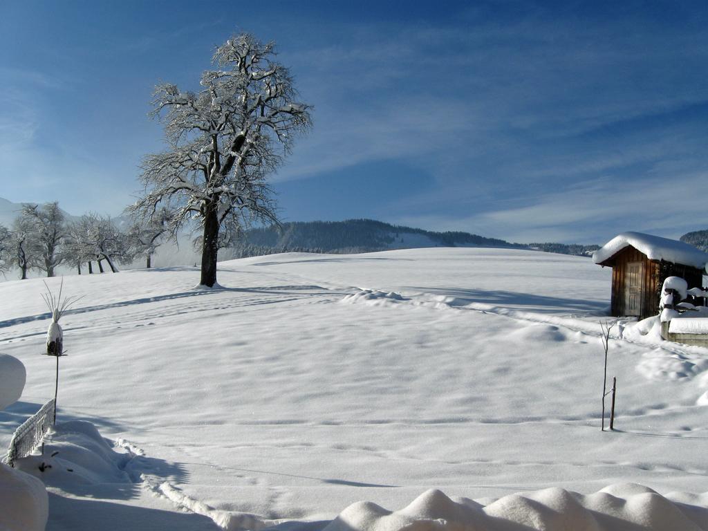 Schweizer Hof Villa Schwarzenberg im Bregenzerwald Kültér fotó